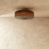 Hasos Ceiling Light