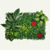 Artificial green wall panel with various leaves and red roses on a white background, featuring a textured, lush design.