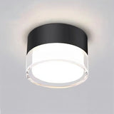 Ian Downlight