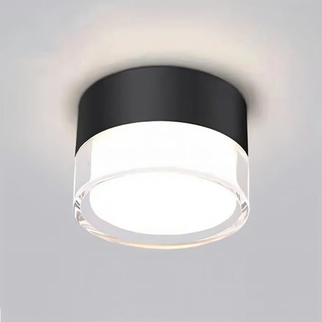 Ian Downlight