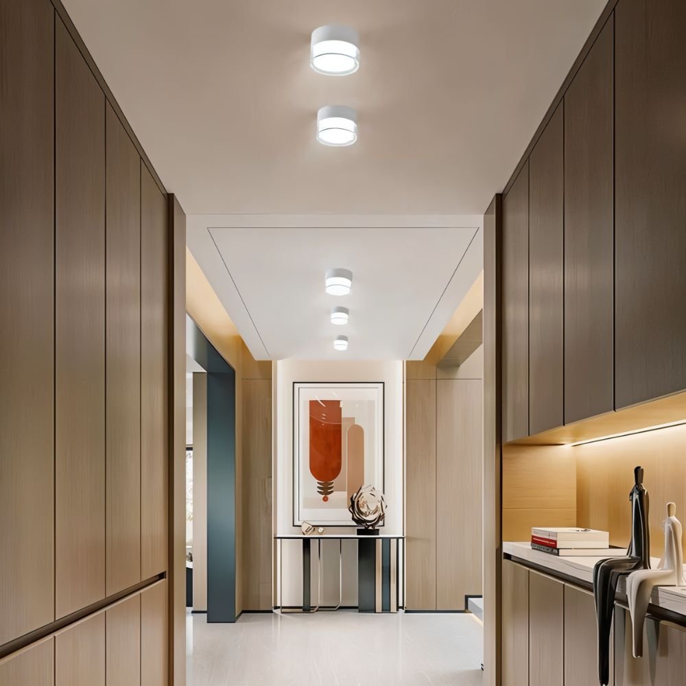 Ian Downlight
