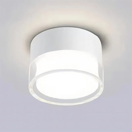 Ian Downlight