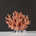 Coral-colored branching figurine displayed on a clear acrylic base against a dark gray background.