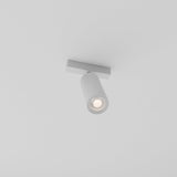 Custom Janae Track Light System (Build Your Own)