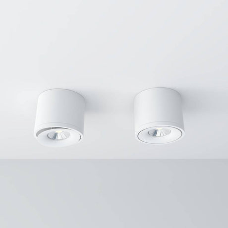 Jannis Downlight