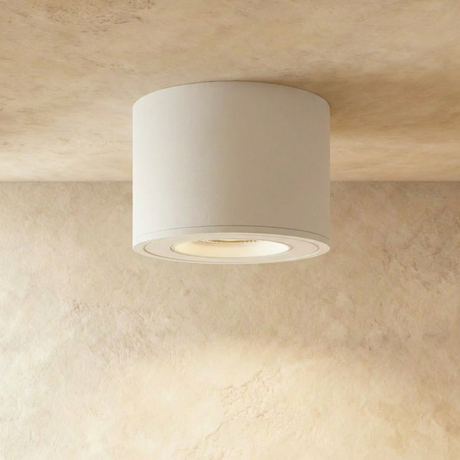 Jannis Downlight