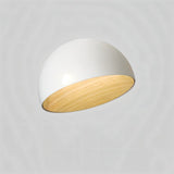 Kaimana Ceiling Light