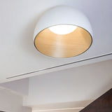 Kaimana Ceiling Light