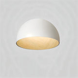 Kaimana Ceiling Light