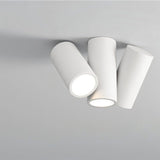 Kashaf Ceiling Light