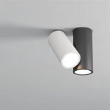 Kashaf Ceiling Light