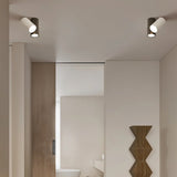 Kashaf Ceiling Light