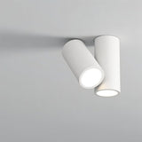 Kashaf Ceiling Light