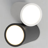 Kashaf Ceiling Light