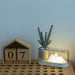 Knoll Table Lamp - Light Fixtures