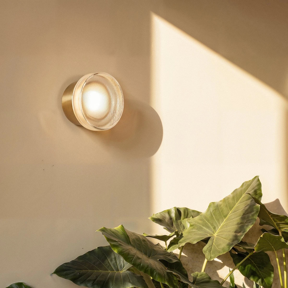 Krevexa Wall Lamp - Residence Supply