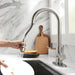 Krina Kitchen Faucet - Residence Supply