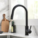 Krina Kitchen Faucet - Residence Supply