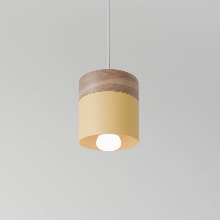 Laetus Pendant Light - Residence Supply