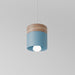 Laetus Pendant Light - Residence Supply