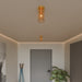 Lance Ceiling Light - Residence Supply