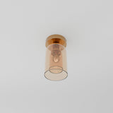 Lámpara de techo lanza