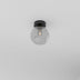 Clear glass globe ceiling light with black metal fixture against white background.