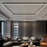 Ligne Ceiling Light