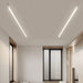 Ligne Ceiling Light - Contemporary Lighting Fixture