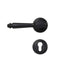 Black lever door handle with matching circular rosette plate and euro lock escutcheon on white background.