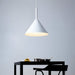 Lucu Pendant Light - Residence Supply