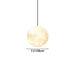 Lunar Pendant Light - Residence Supply