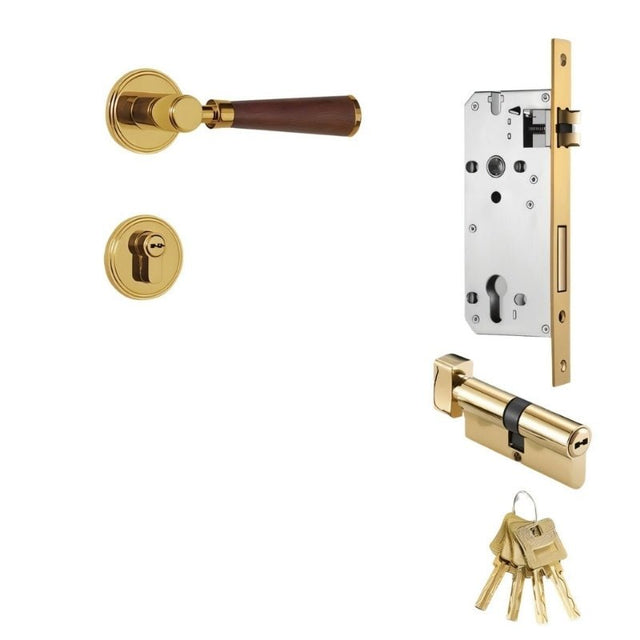 Manus Handle and Lock