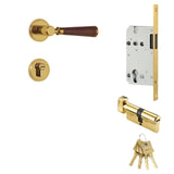 Manus Handle and Lock
