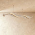 Marianne Chandelier - Residence Supply