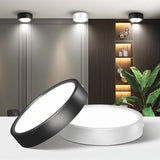 Melor Downlight