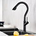 Miscer Kitchen Faucet - Residence Supply