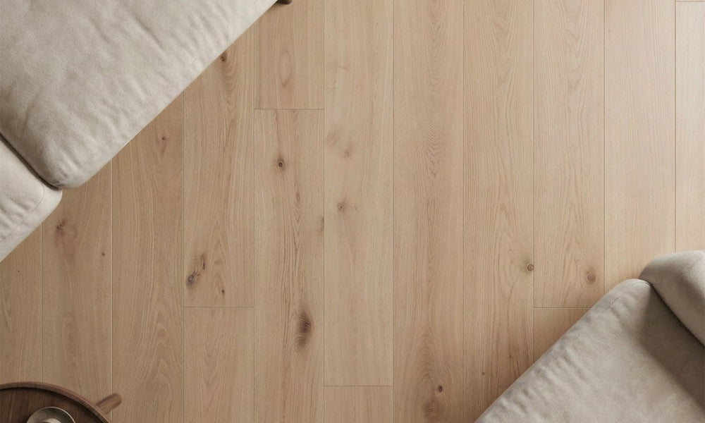 Soft Sunlit Oak