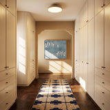 Nehos Ceiling Light - Residence Supply