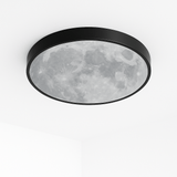 Neoma Ceiling Light - Residence Supply