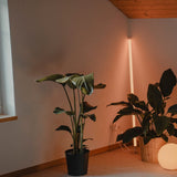 Neon Tube Floor Lamp - Residence Supply