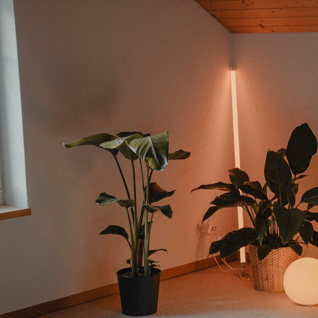 Neon Tube Floor Lamp - Residence Supply