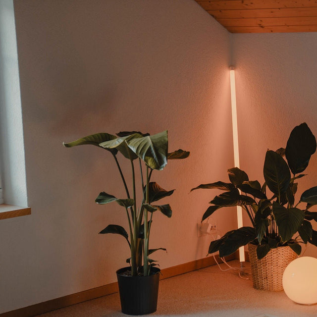 Neon Tube Floor Lamp - Residence Supply