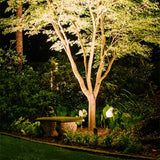 "Outdoor spotlight illuminating a tree in a garden at night."