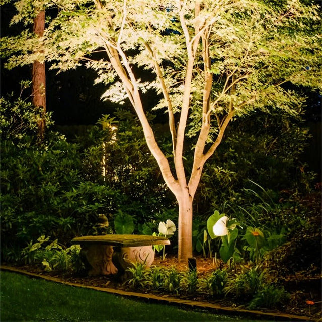 "Outdoor spotlight illuminating a tree in a garden at night."