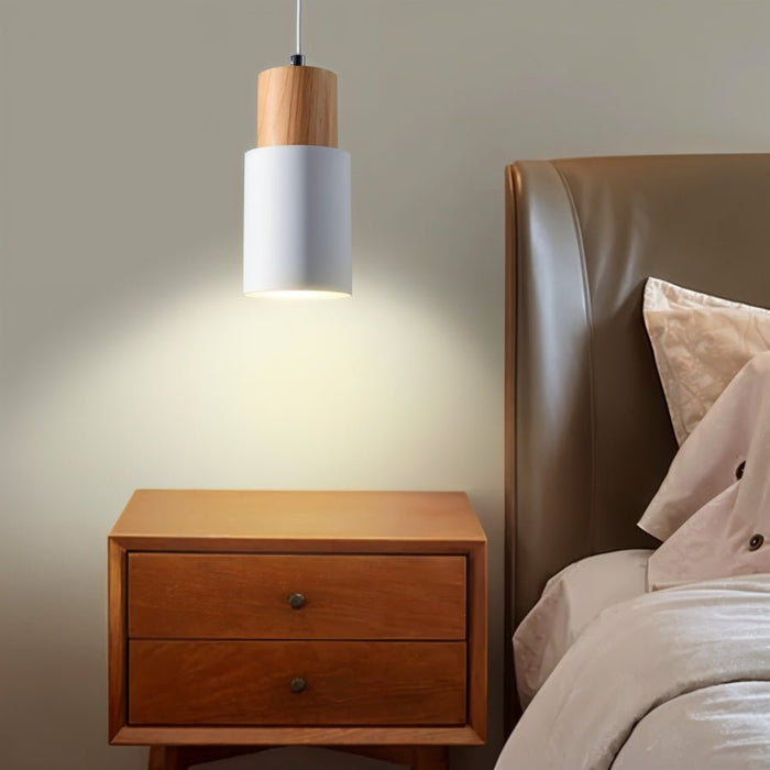 Nouveau Pendant Light - Modern Lighting for Bedroom
