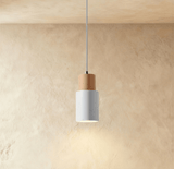 Nouveau Pendant Light - Residence Supply