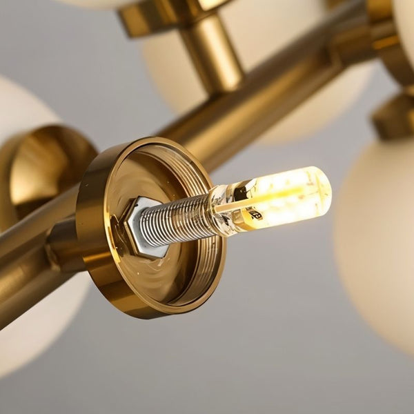 Timeless Versatility