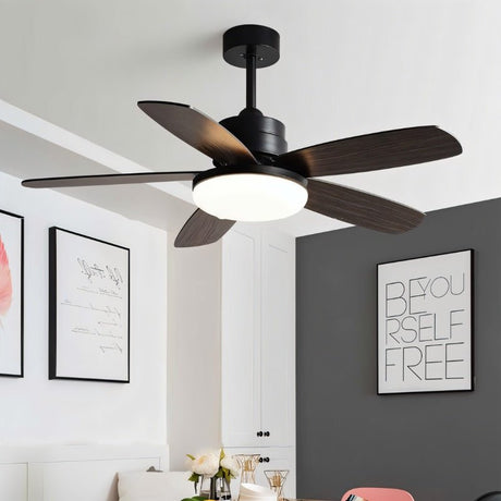 Nuit Ceiling Fan