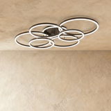 Roshan Ceiling light